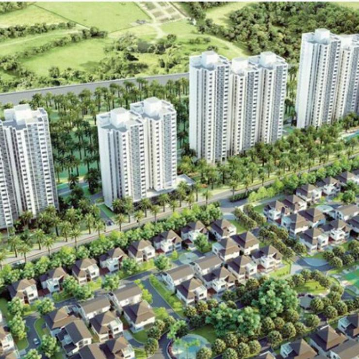 Chung cư rừng cọ - Khu đô thị Ecopark
